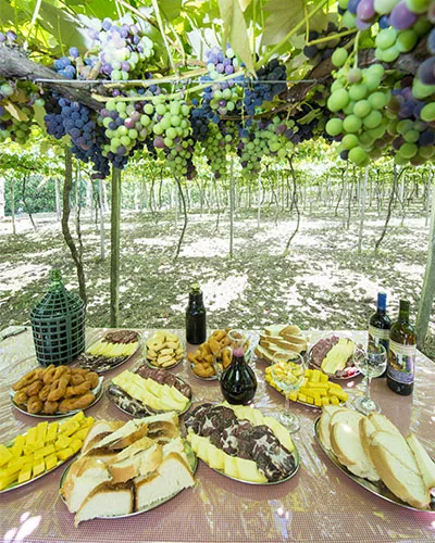 Mesa de café colonial sob os parreirais da Serra Gaúcha