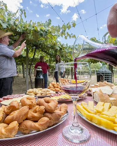 Vinho sendo servido em piquenique entre vinhedos