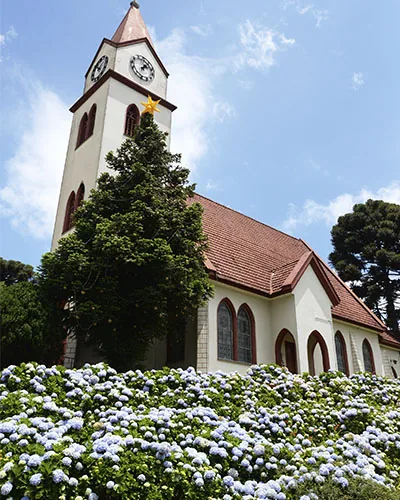 Igreja Matriz São Pedro cercada de hortênsias